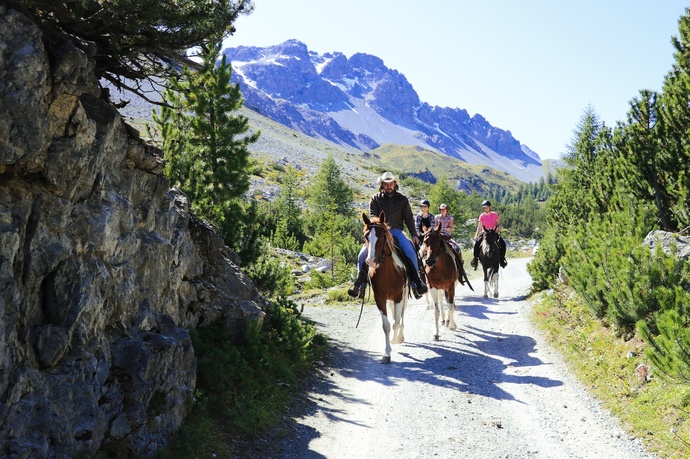 Paclerahof Reiterhof & Pferdezucht Agrotourismus (oua_45904753_image)