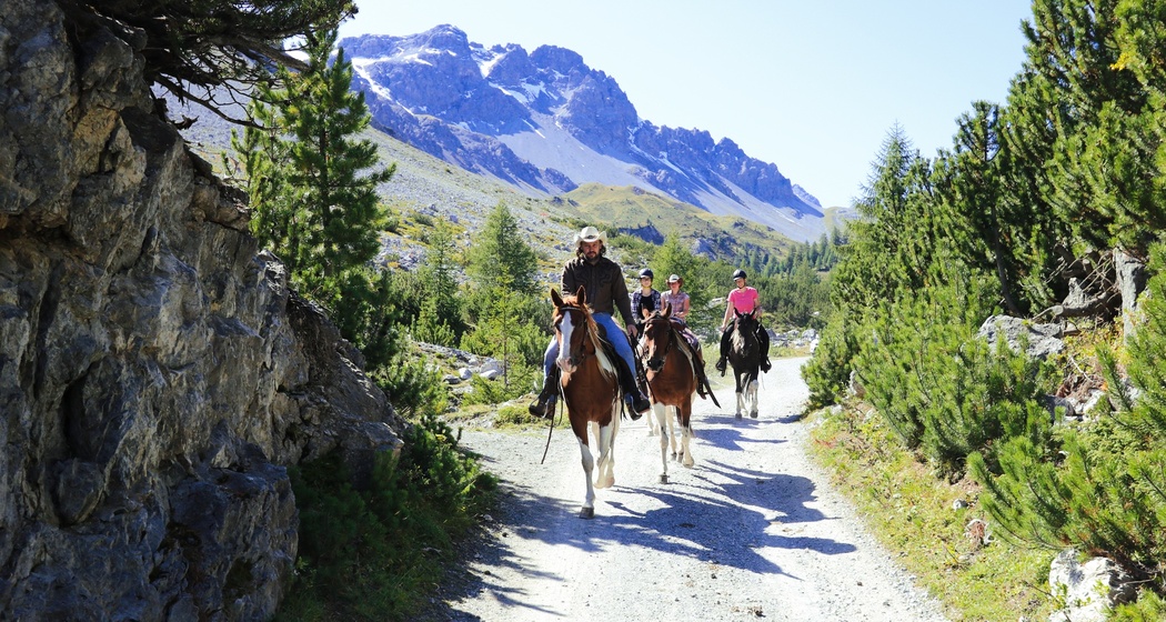 Paclerahof Reiterhof & Pferdezucht Agrotourismus (oua_45904753_image)
