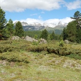 Ebene der Alp da Staz