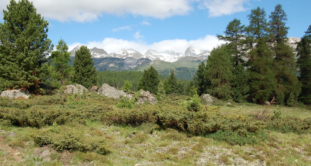 Ebene der Alp da Staz
