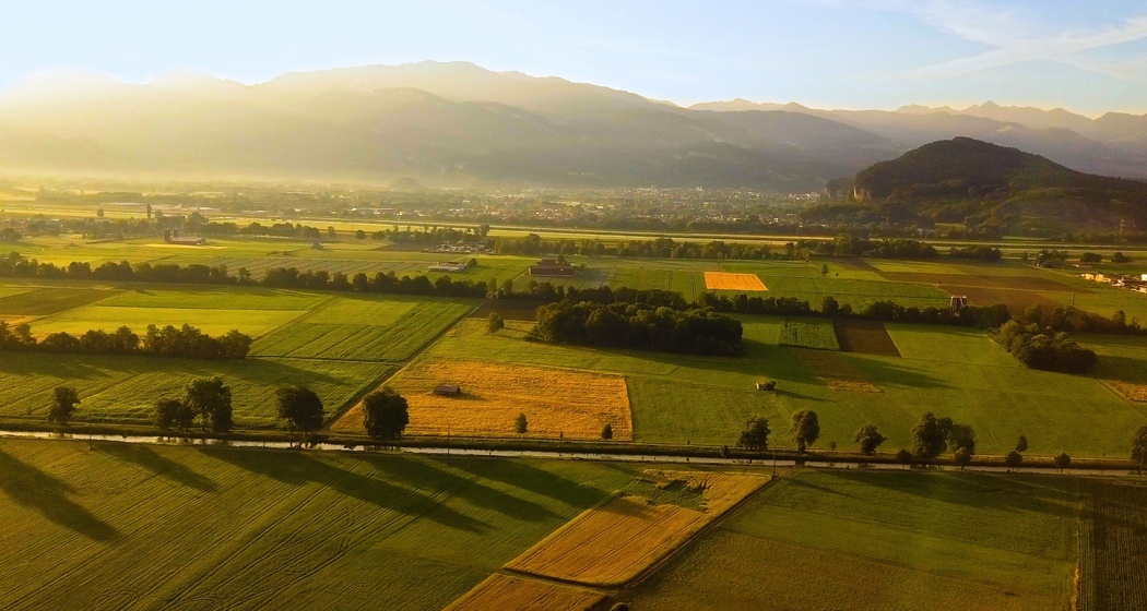 Bannriet, Altstätten