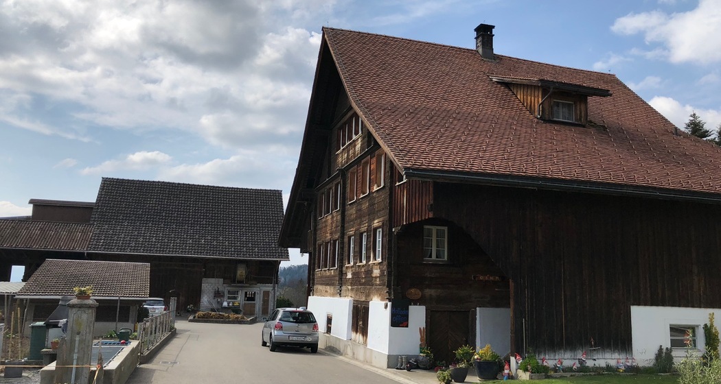 Gold Trophy unterwegs – kurze Wanderroute Goldingen (oua_46202147_image)