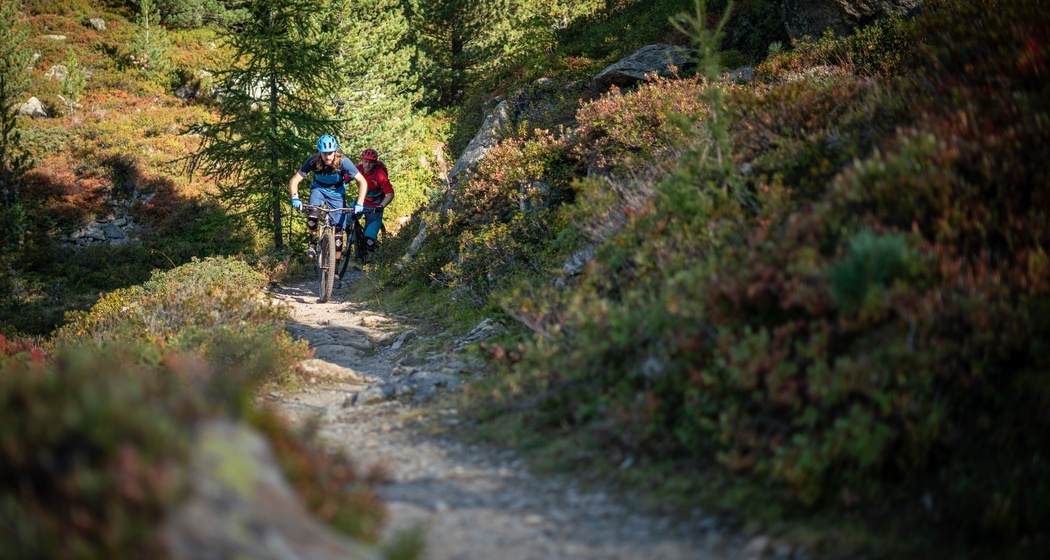 Flüela Valley Trail (oua_46216837_image)