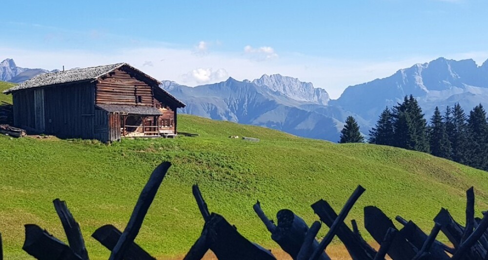 Vom Berghaus Schwänzelegg direkt nach Furna (oua_46929899_image)