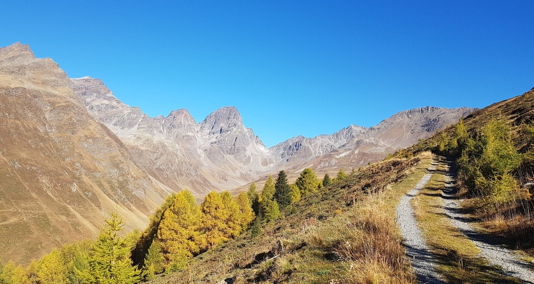 Lai Blau Trailrunning