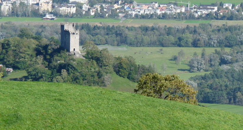 Blick auf die Burgruine Wartau