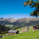 334 Clavadeler Alp (E-MTB tauglich) (oua_47613643_image)