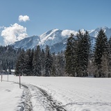 28 Flims Dorf - Crestasee (oua_47951551_image)