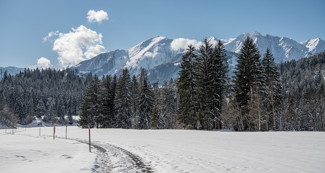 28 Flims Dorf - Crestasee (oua_47951551_image)