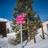 3 Startgels - Runcahöhe - Flims (oua_47957388_image)