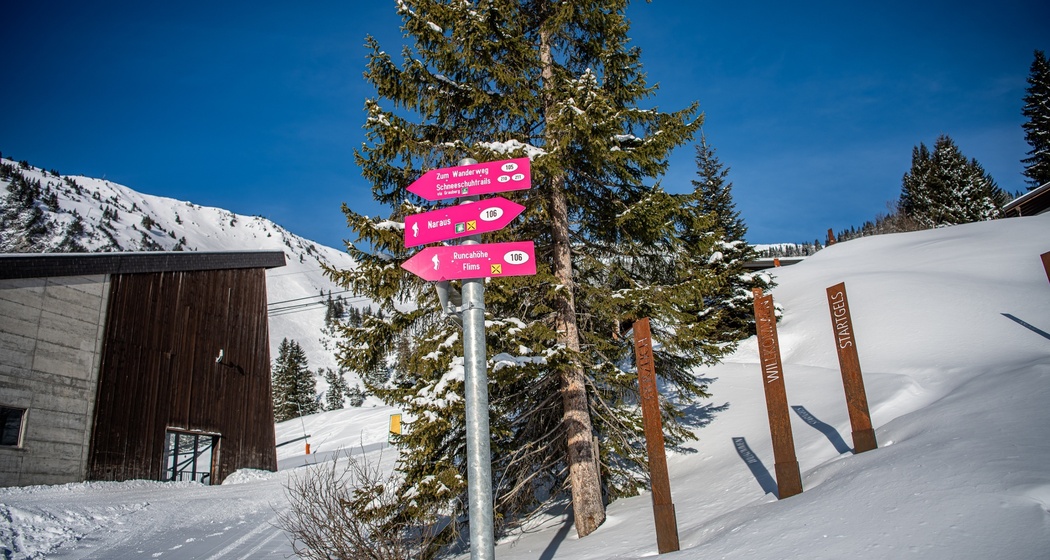 3 Startgels - Runcahöhe - Flims (oua_47957388_image)