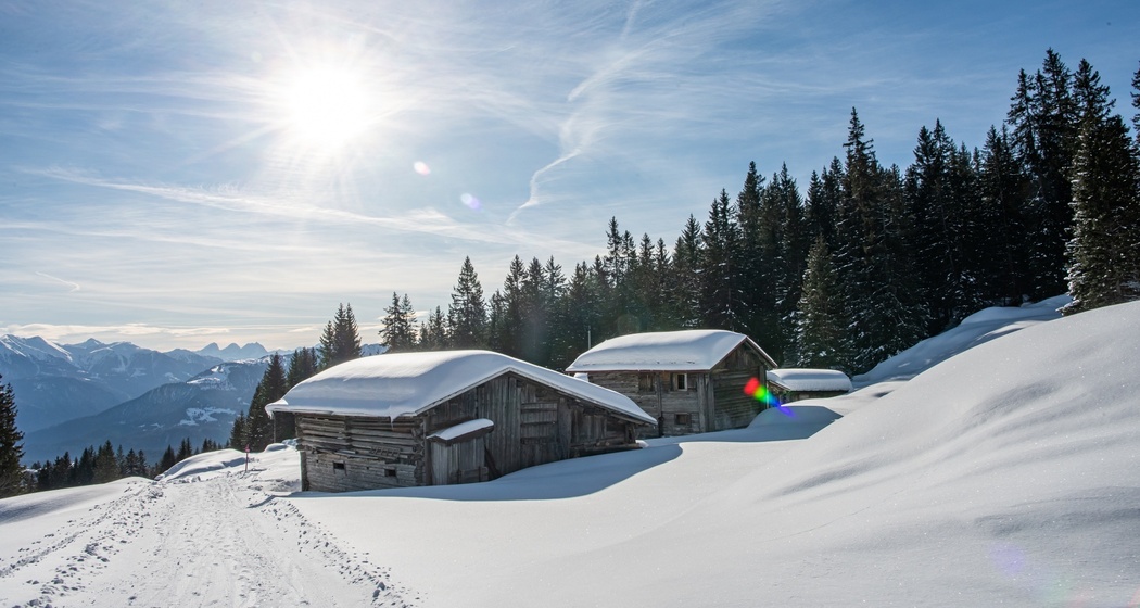 3 Startgels - Runcahöhe - Flims (oua_47957498_image)