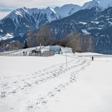 Randonnée en raquettes n° 201 Curnius - Falera (oua_47960010_image)