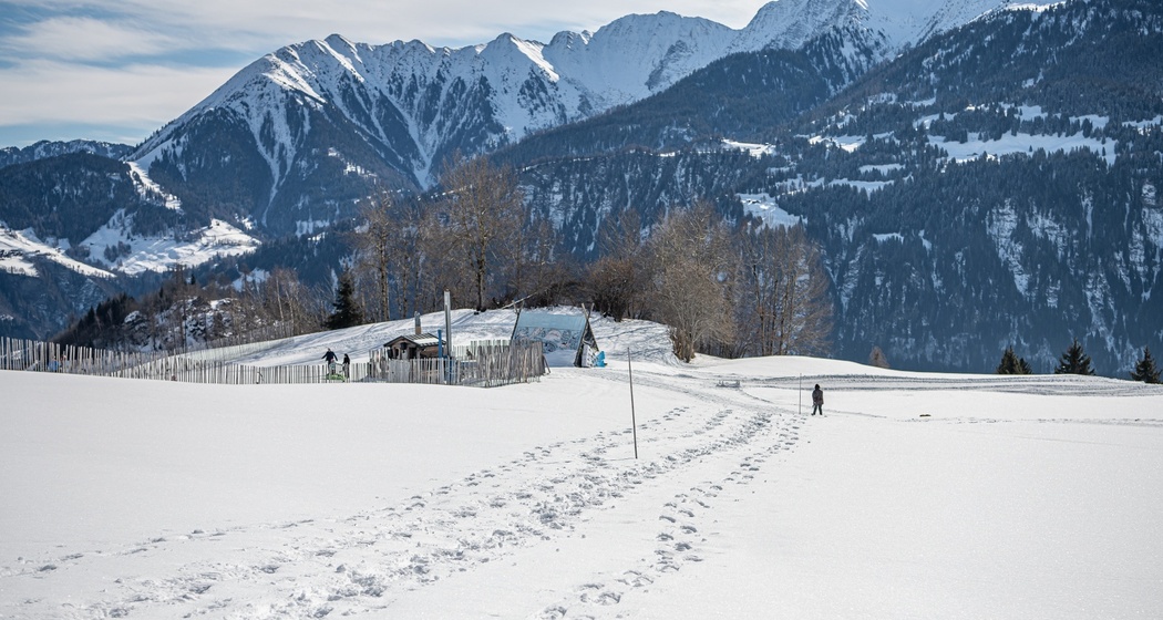 Schneeschuhtour Nr. 501 Curnius - Falera (oua_47960010_image)