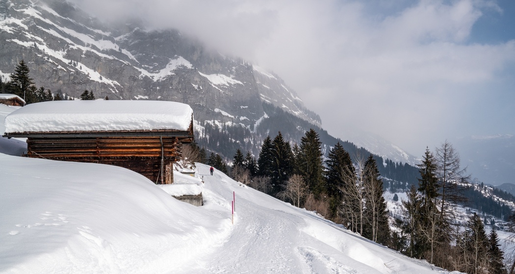 Foppa-Flims (oua_48015202_image)