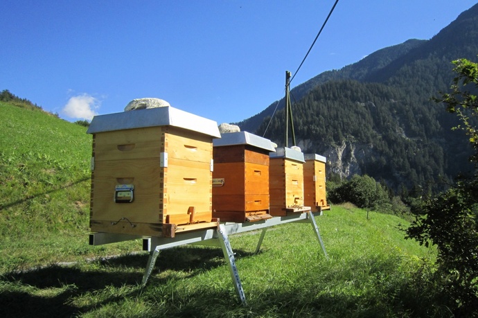 Apicoltore Meltger Devonas / Miele