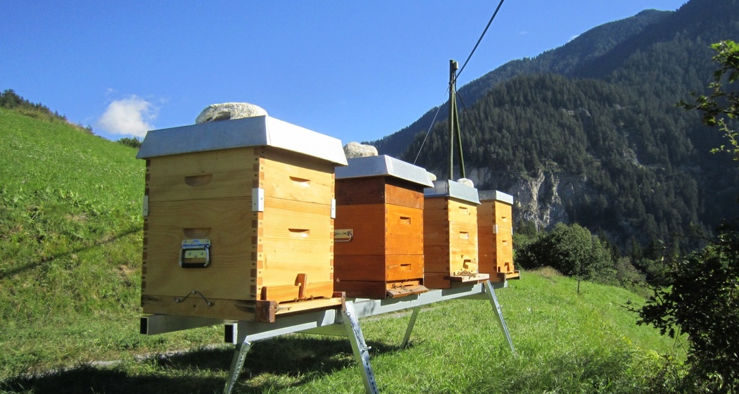 Imker Meltger Devonas / Honig