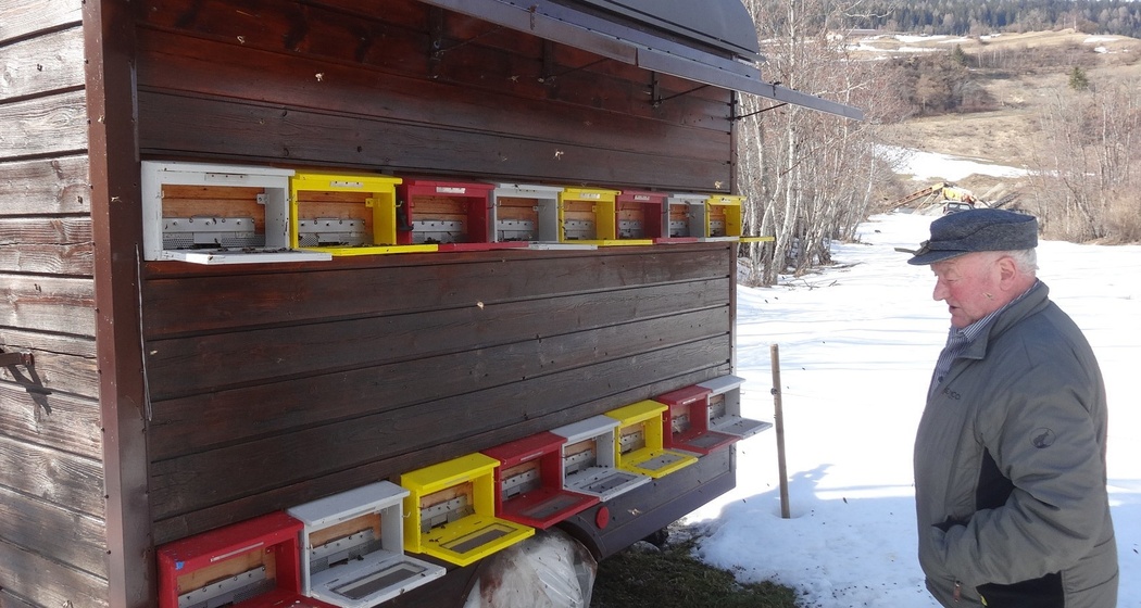 Imker Meltger Devonas / Honig