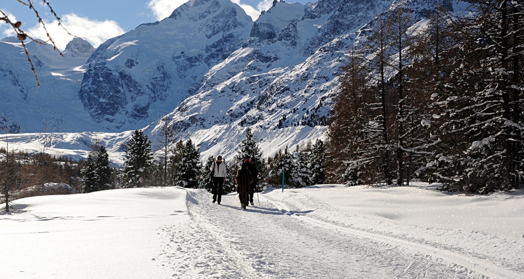 Winterwanderweg Morteratsch