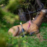 Parc de tir à l’arc Hubertus (oua_49087175_image)