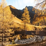 Brücke über die Ova da Trupchun