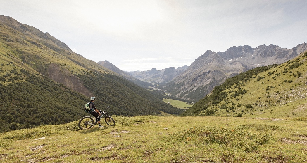 Buffalora – Val Mora – Sta.Maria (oua_49446534_image)