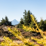 percorso panoramico ad anello Mutta