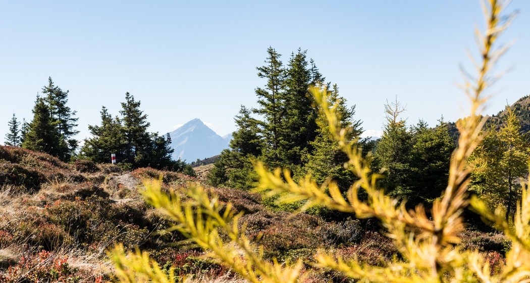 Panorama-Rundwanderweg Mutta