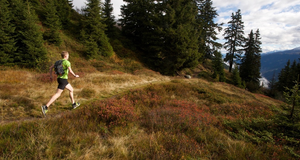 Kloster Disentis - Caischavedra - Bostg (oua_49467113_image)