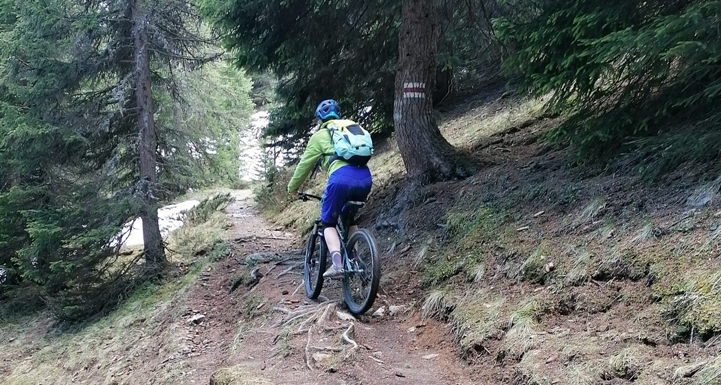 Wurzelpassagen Prätschlialp Trail