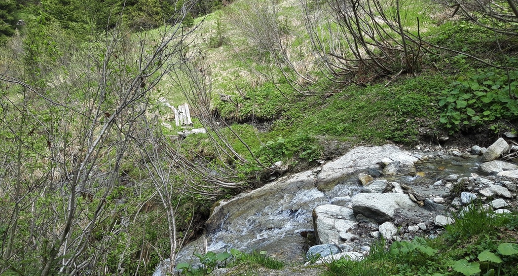 Zugang über den Bach