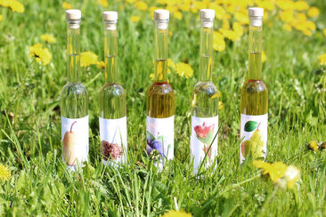 Destillaria Candinas, Surrein (oua_49610384_image)