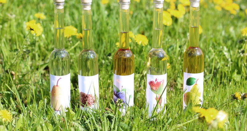 Destillaria Candinas, Surrein (oua_49610384_image)