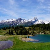 Marmorera - Alp Flix - Rona (oua_49756513_image)