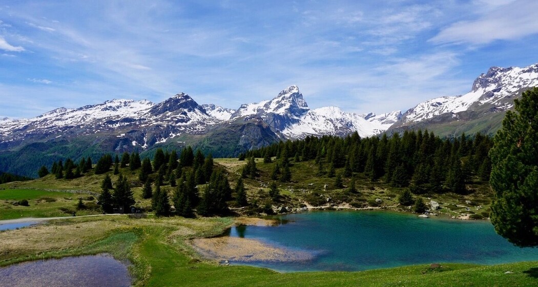 Marmorera - Alp Flix - Rona (oua_49756513_image)