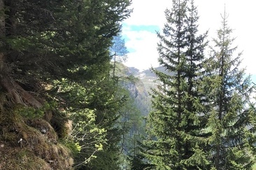 Ochsenalp-Tschiertschen