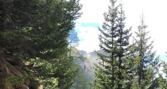 Ochsenalp-Tschiertschen