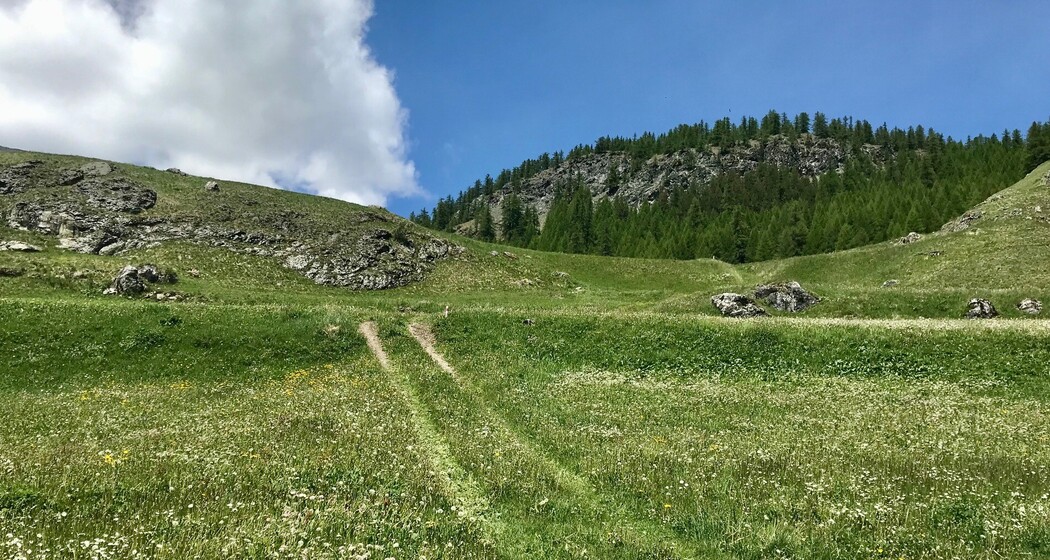 Sur - Alp Flix - Sur (oua_49760564_image)