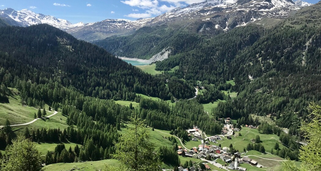 Sur - Alp Flix - Sur (oua_49760692_image)