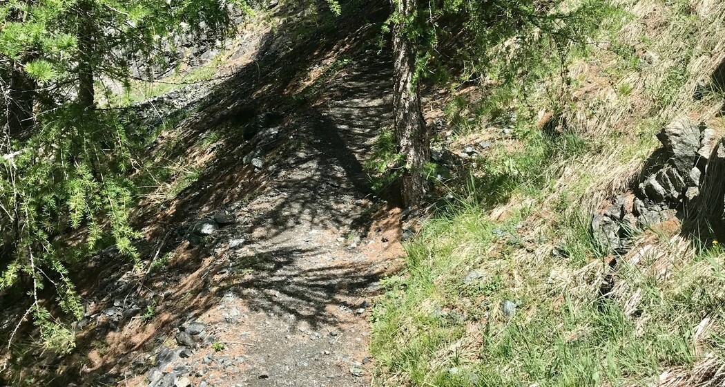 Sur - Alp Flix - Sur (oua_49760741_image)