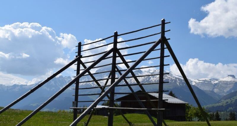 Kornhiste Chummenbühl Obersaxen