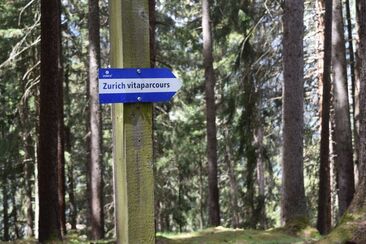 Vita Parcours, Obersaxen