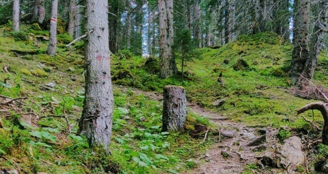 Trail Grüenseeli