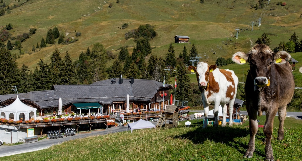 Das alte Restaurant Wali