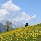 Randonnée au sommet de Surcuolm au Piz Mundaun (oua_50160818_image)