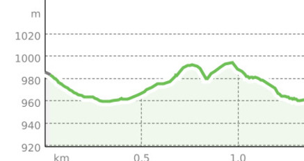 Orchideenwanderung am Lag digl Oberst in Laax (oua_50187790_72f512d_profile)