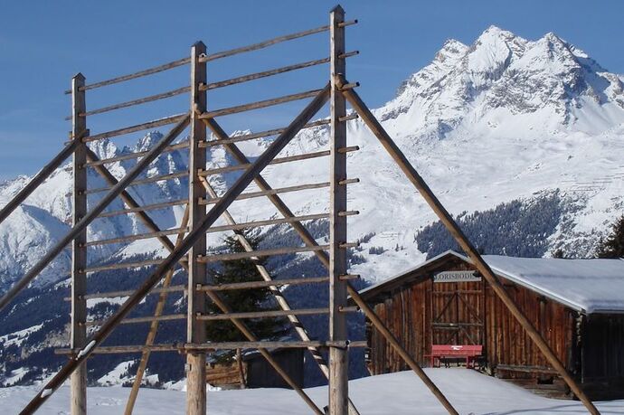 Kornhiste Chummenbühl Obersaxen