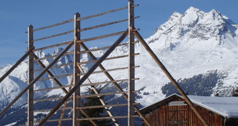 Kornhiste Chummenbühl Obersaxen