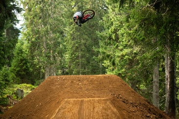 SHOREline / STYLEline