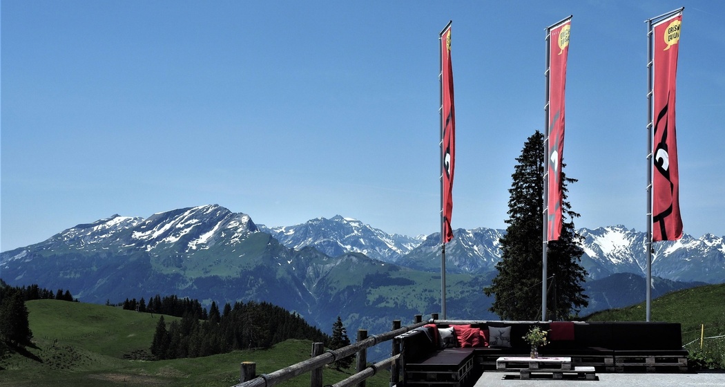 1200 Hm leichter Downhill nach Grüsch (oua_50352250_image)